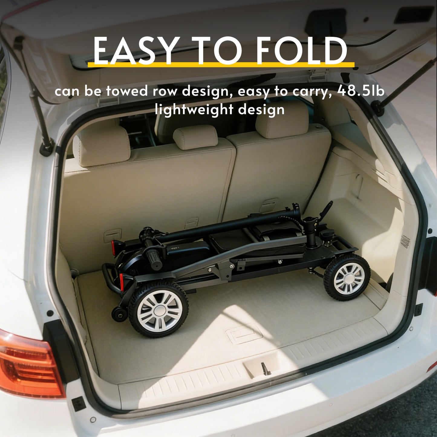 Lynx All-Terrain Electric Mobility Scooter – Foldable, Long Range, 300W Motor