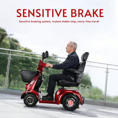 NINA Heavy-Duty All-Terrain Mobility Scooter – Dual Battery, Long Range, 800W Power