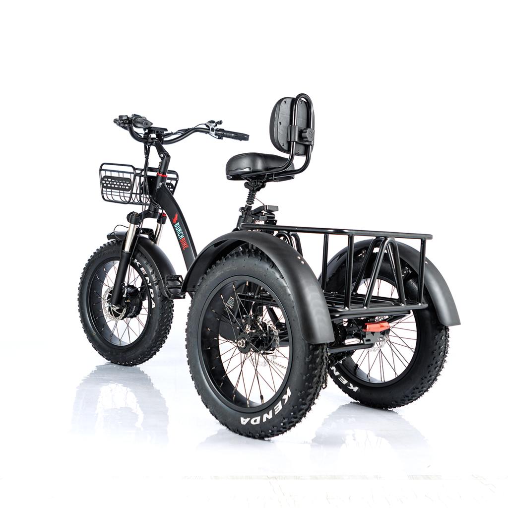 3 wheel battery bike